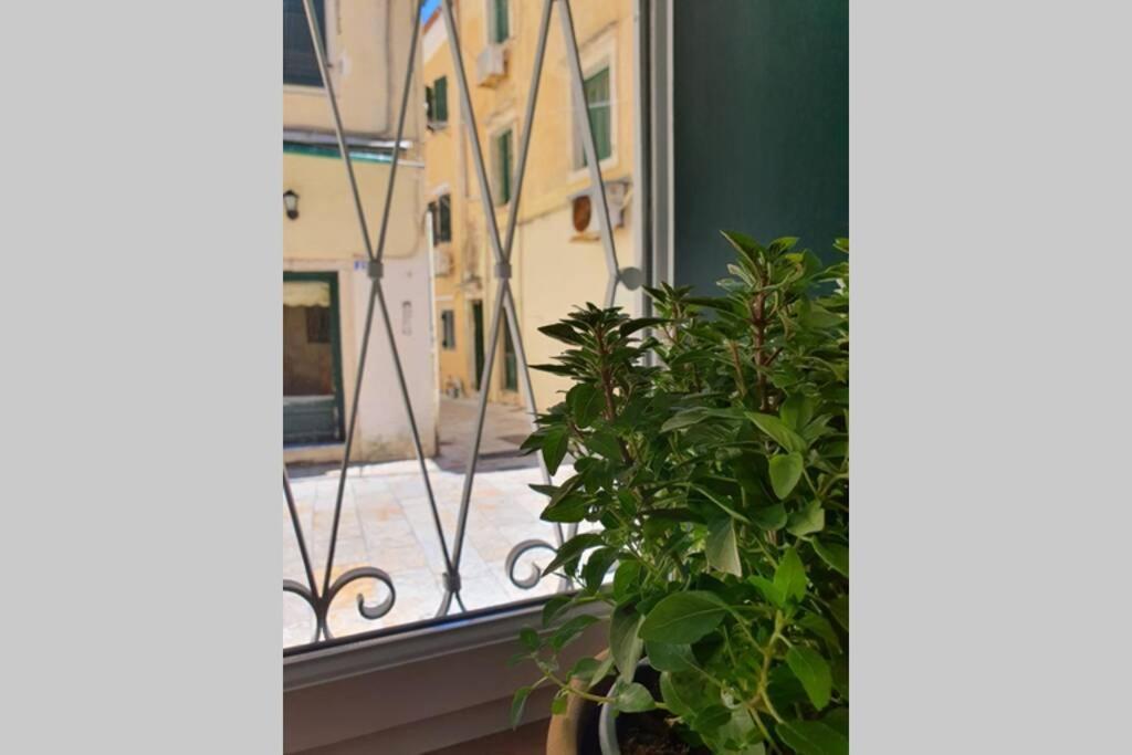 Elia Luxury Suite, Corfu Town 외부 사진